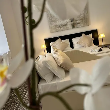 Guest house Brignole *